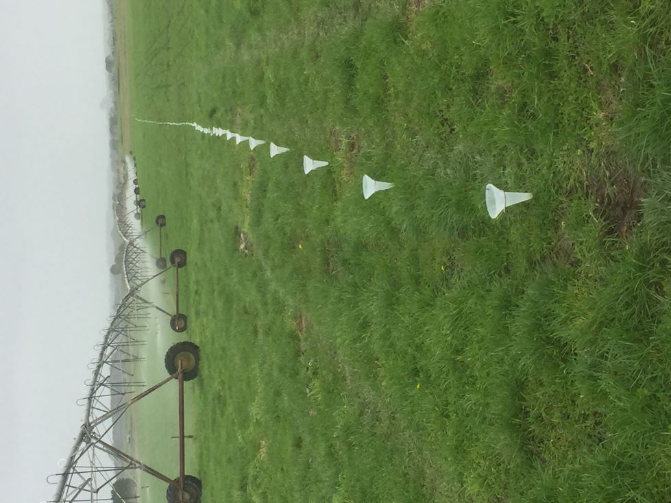 Catch can irrigation test